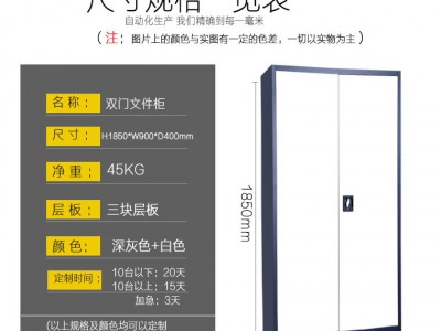 財務憑證柜 拆裝文件柜雙門辦公柜檔案柜時尚鐵皮柜憑證柜