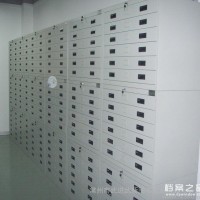 專業(yè)生產(chǎn) 鋼制底圖柜 文件柜  憑證柜 5年質(zhì)保 書柜 檔案柜