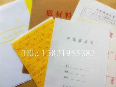 干部檔案目錄表人事檔案夾盒 十大類分類紙角打孔機履歷表 包郵