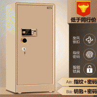 鼎發保險柜家用辦公大型1米1.2米1.5米1.8米珠寶保險箱銀行保管箱