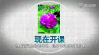《企業檔案管理實務》文書管理類檔案整理視頻