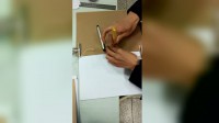 業務類檔案裝訂操作視頻視頻