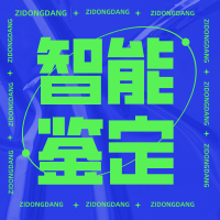 智能化檔案鑒定服務